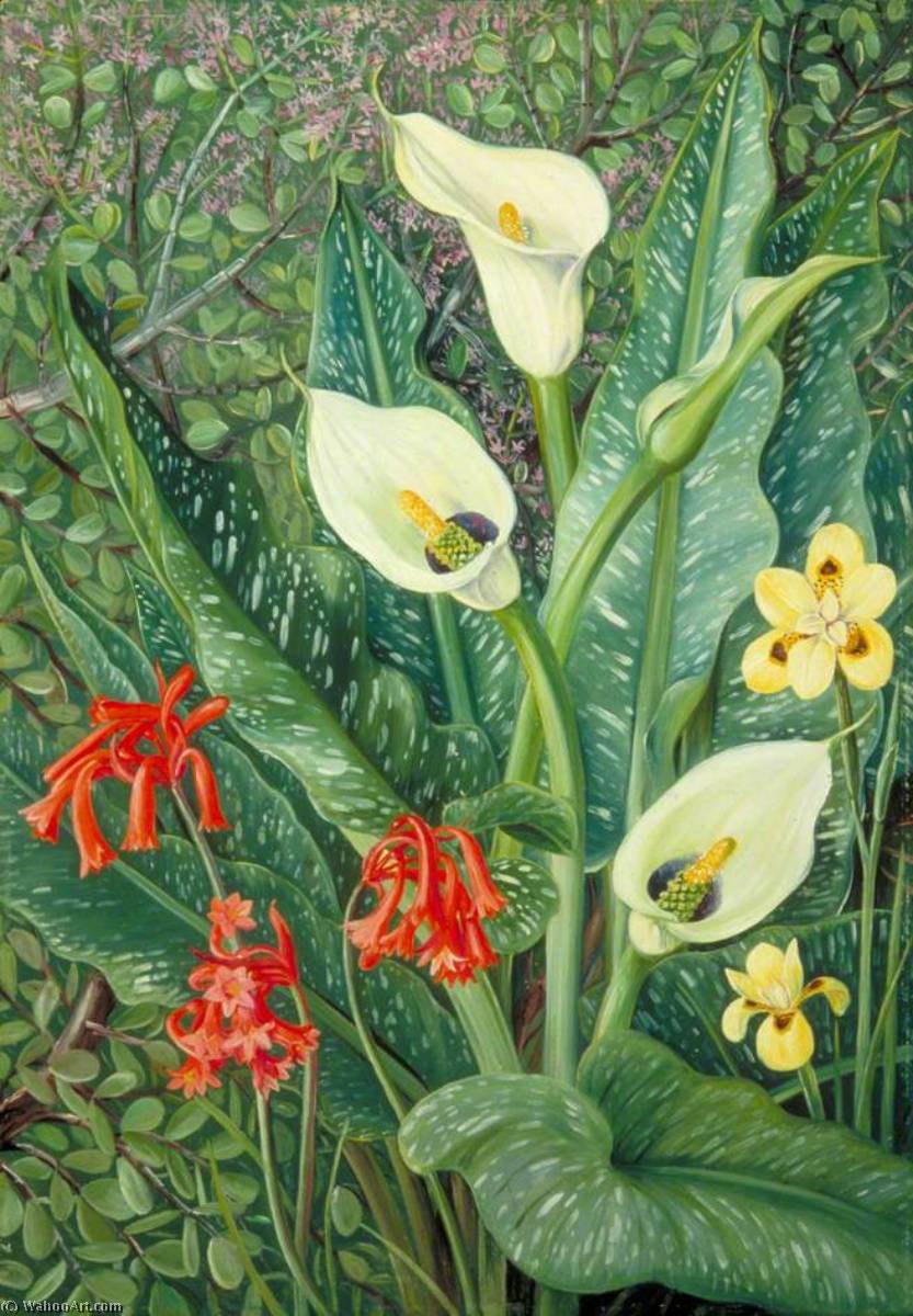 Wikioo.org - The Encyclopedia of Fine Arts - Painting, Artwork by Marianne North - Four South African Plants