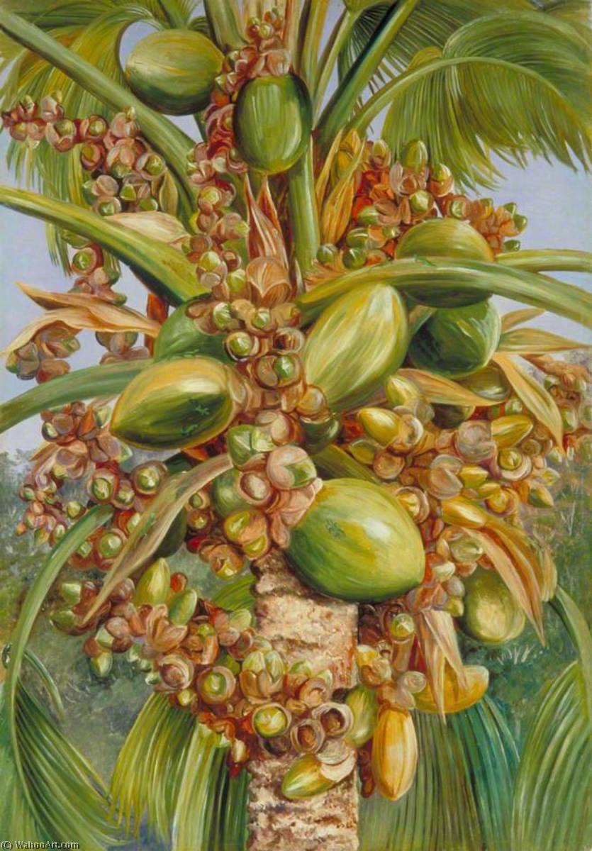 Wikioo.org - The Encyclopedia of Fine Arts - Painting, Artwork by Marianne North - Female Coco de Mer Bearing Fruit Covered with Small Green Lizards