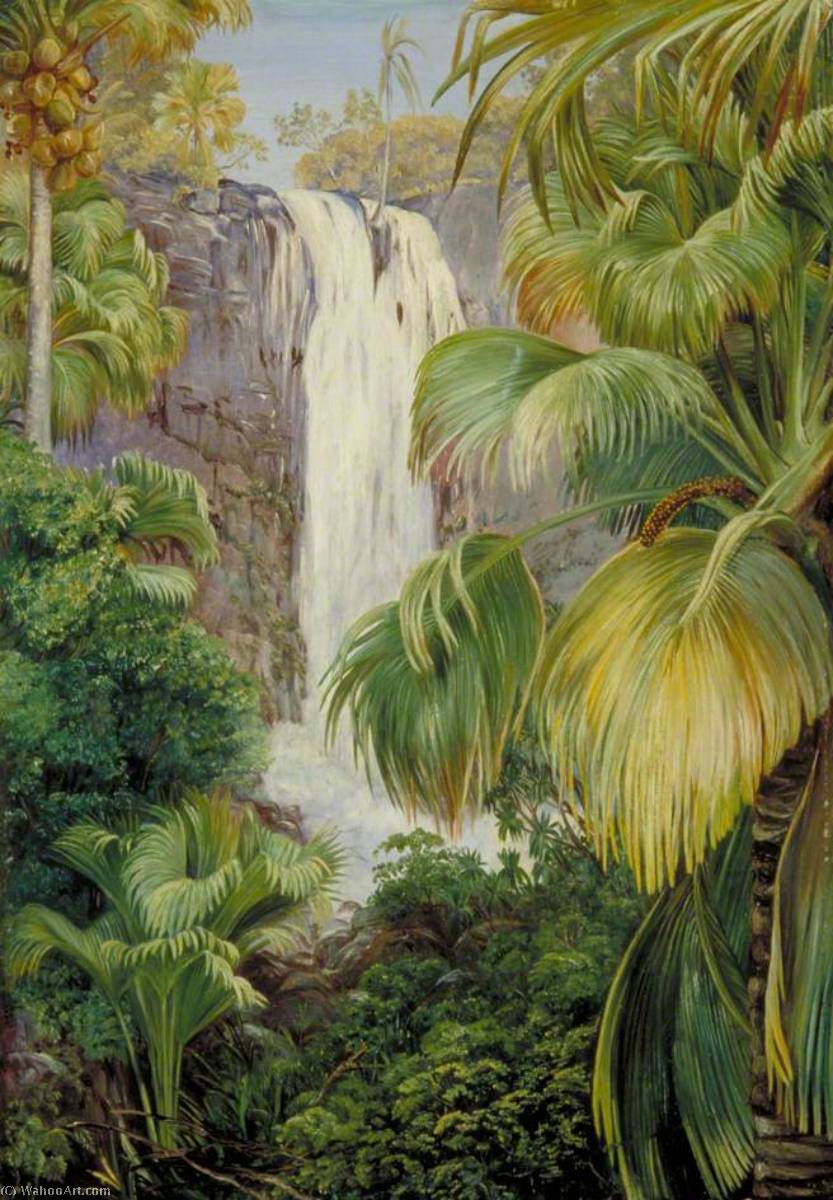WikiOO.org - Encyclopedia of Fine Arts - Maľba, Artwork Marianne North - Waterfall in the Gorge of the Coco de Mer, Praslin