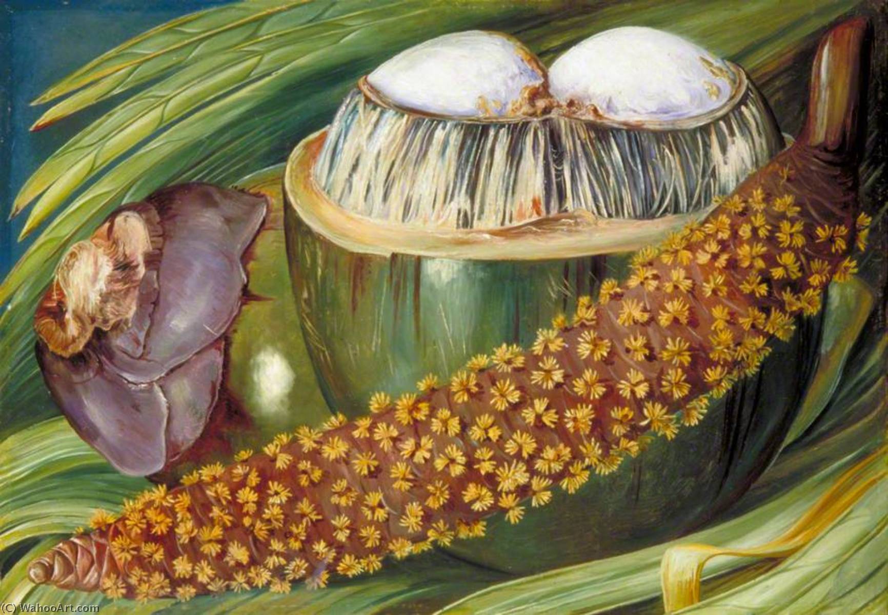 Wikioo.org - The Encyclopedia of Fine Arts - Painting, Artwork by Marianne North - Male Inflorescence and Ripe Nuts of the Coco de Mer, Seychelles