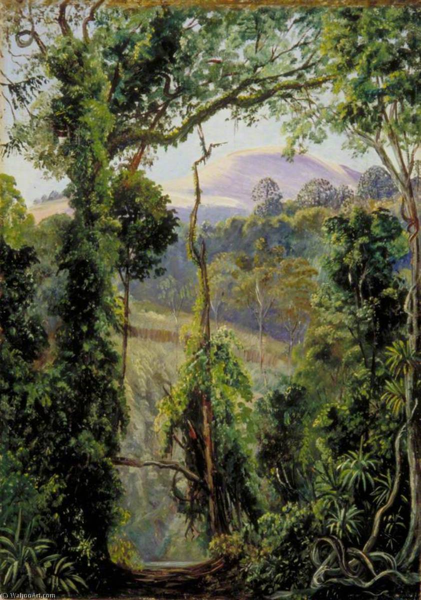 WikiOO.org - Encyclopedia of Fine Arts - Maľba, Artwork Marianne North - View Looking out of the Bunya Forest at the Summit, Queensland