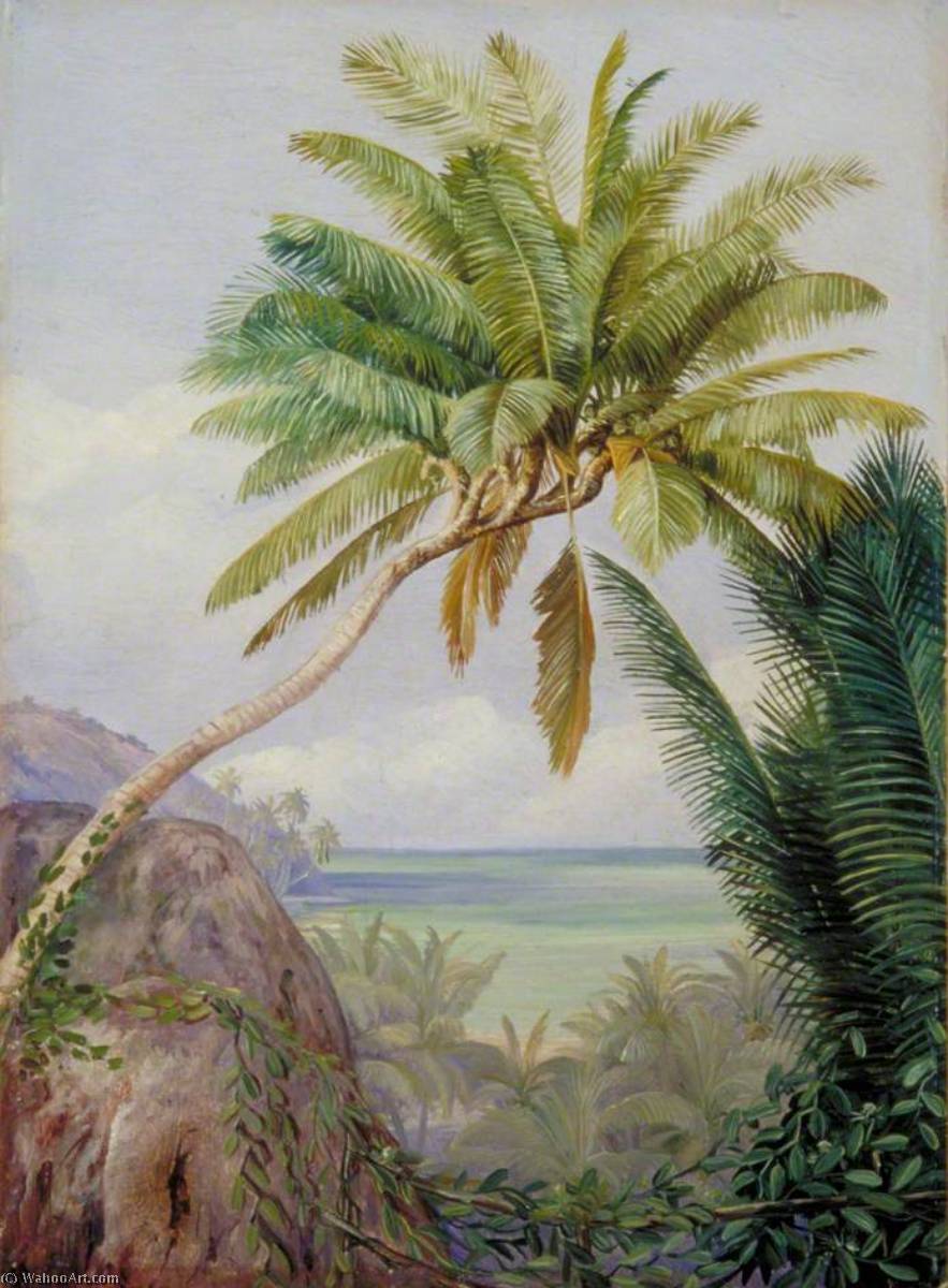 Wikoo.org - موسوعة الفنون الجميلة - اللوحة، العمل الفني Marianne North - The Six Headed Cocoanut Palm of Mahé, Seychelles