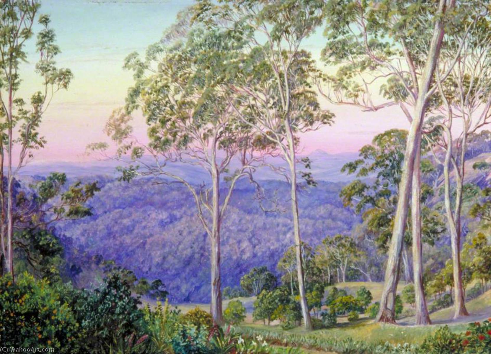 WikiOO.org - Encyclopedia of Fine Arts - Lukisan, Artwork Marianne North - Evening Glow over 'The Range'
