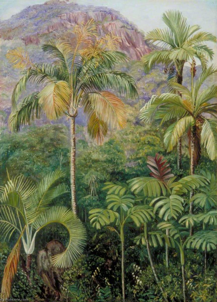 Wikioo.org - The Encyclopedia of Fine Arts - Painting, Artwork by Marianne North - Palms in Mahé, Seychelles