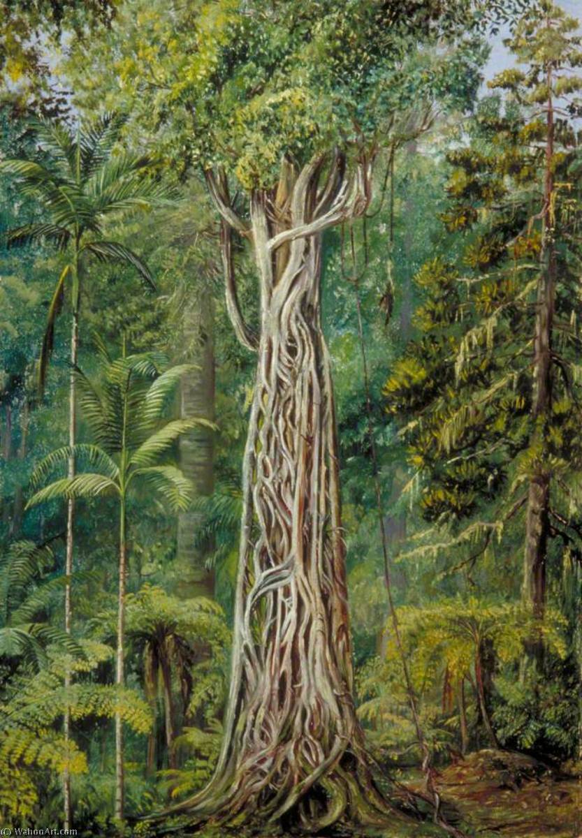 Wikioo.org - The Encyclopedia of Fine Arts - Painting, Artwork by Marianne North - Poison Tree Strangled by a Fig, Queensland
