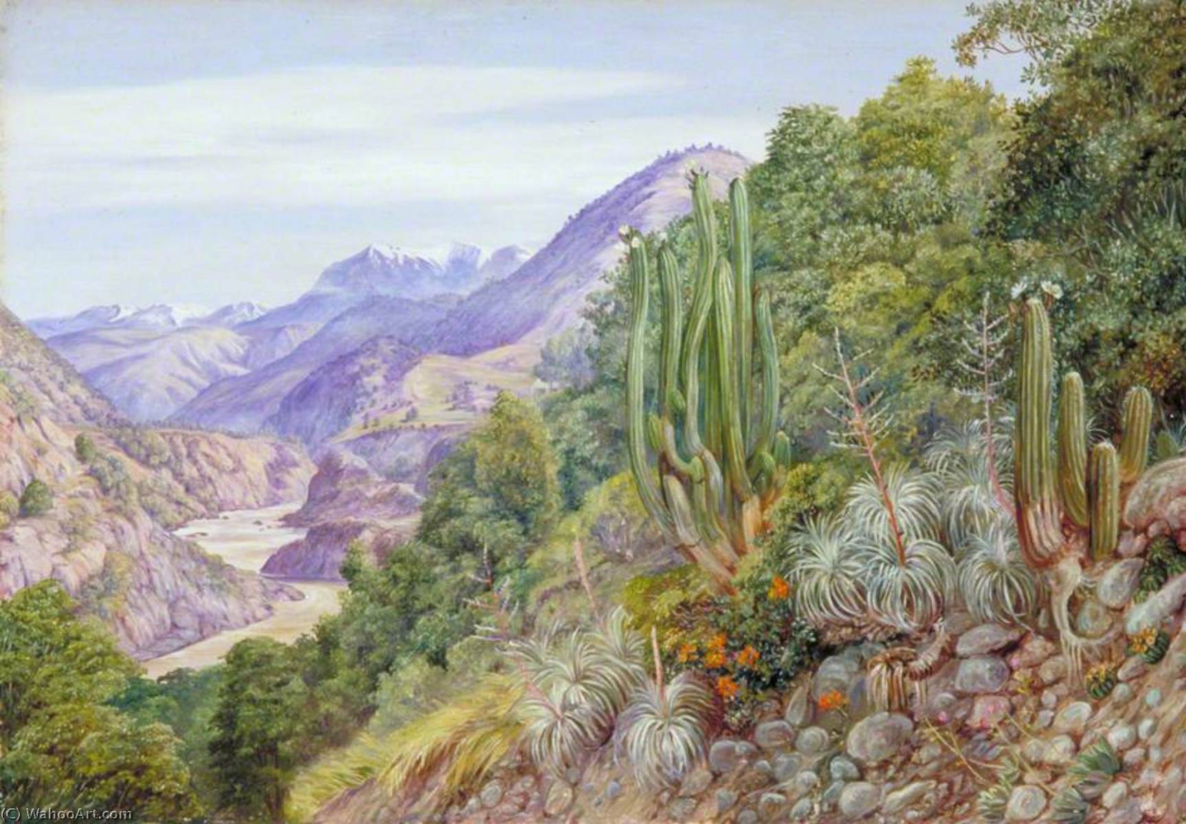 WikiOO.org - Encyclopedia of Fine Arts - Lukisan, Artwork Marianne North - The Baths of Cauquenas in the Cordilleras, South of Santiago, Chili