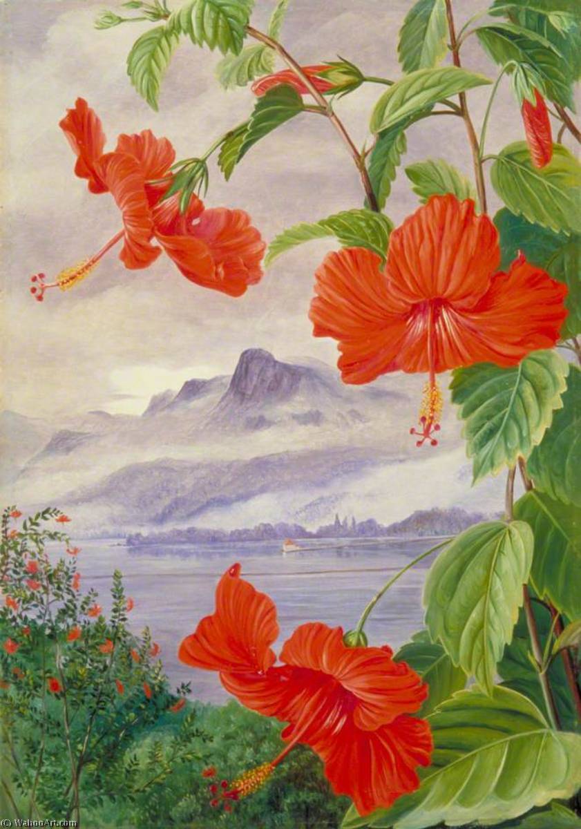 Wikioo.org - สารานุกรมวิจิตรศิลป์ - จิตรกรรม Marianne North - Mandrinette and Mountain Home of the Pitcher Plant in the Distance