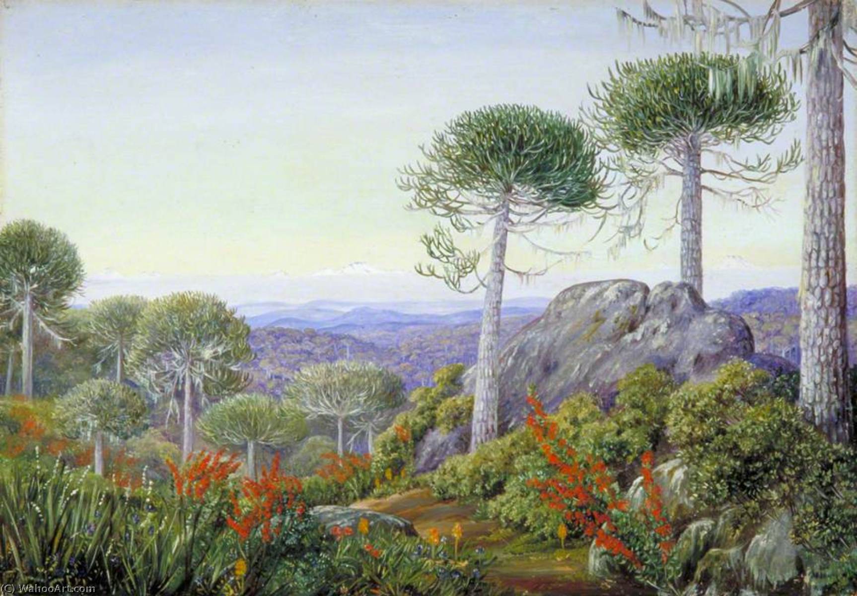 Wikioo.org - The Encyclopedia of Fine Arts - Painting, Artwork by Marianne North - Seven Snowy Peaks Seen from the Araucaria Forest, Chili