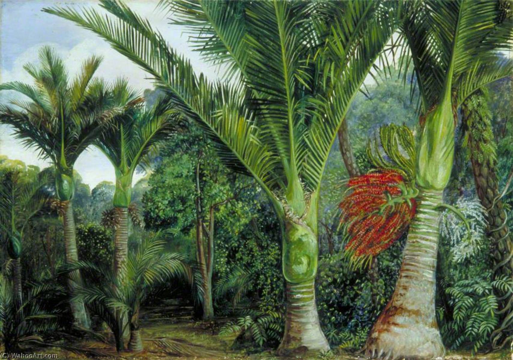 WikiOO.org - Εγκυκλοπαίδεια Καλών Τεχνών - Ζωγραφική, έργα τέχνης Marianne North - Group of Nikau Palms with the Background of the Kawa Kawa, New Zealand