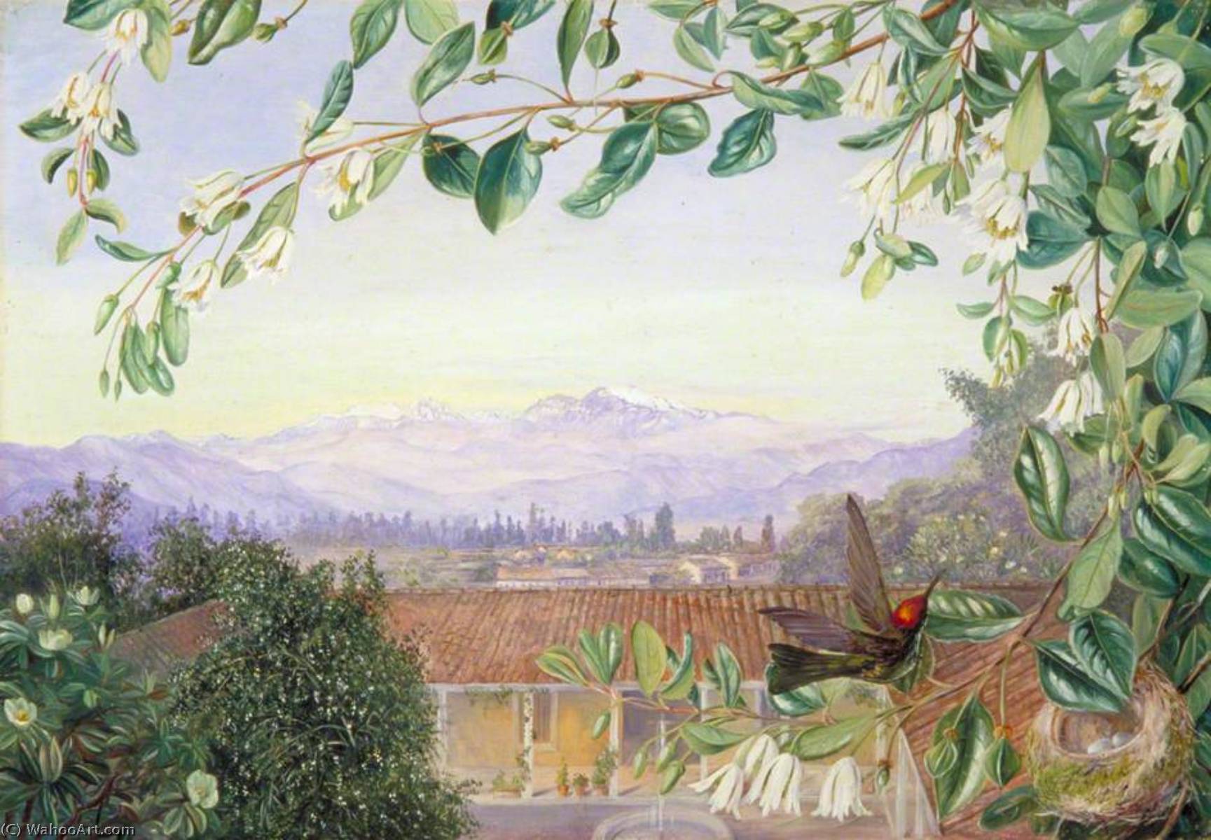 WikiOO.org - 백과 사전 - 회화, 삽화 Marianne North - The Permanent Snows from Santiago Patagua in front with Humming Bird and Nest