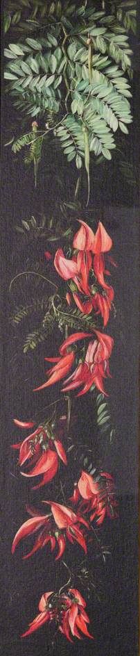 Wikoo.org - موسوعة الفنون الجميلة - اللوحة، العمل الفني Marianne North - Red Flowering Plant on a Black Background