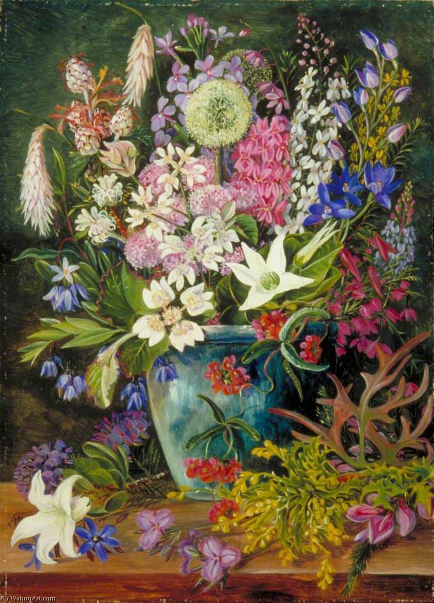 Wikioo.org - The Encyclopedia of Fine Arts - Painting, Artwork by Marianne North - Wild Flowers of Albany, West Australia