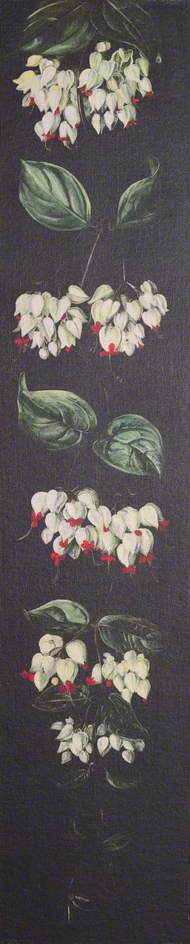 Wikioo.org - The Encyclopedia of Fine Arts - Painting, Artwork by Marianne North - White and Red Flowering Plant on a Black Background