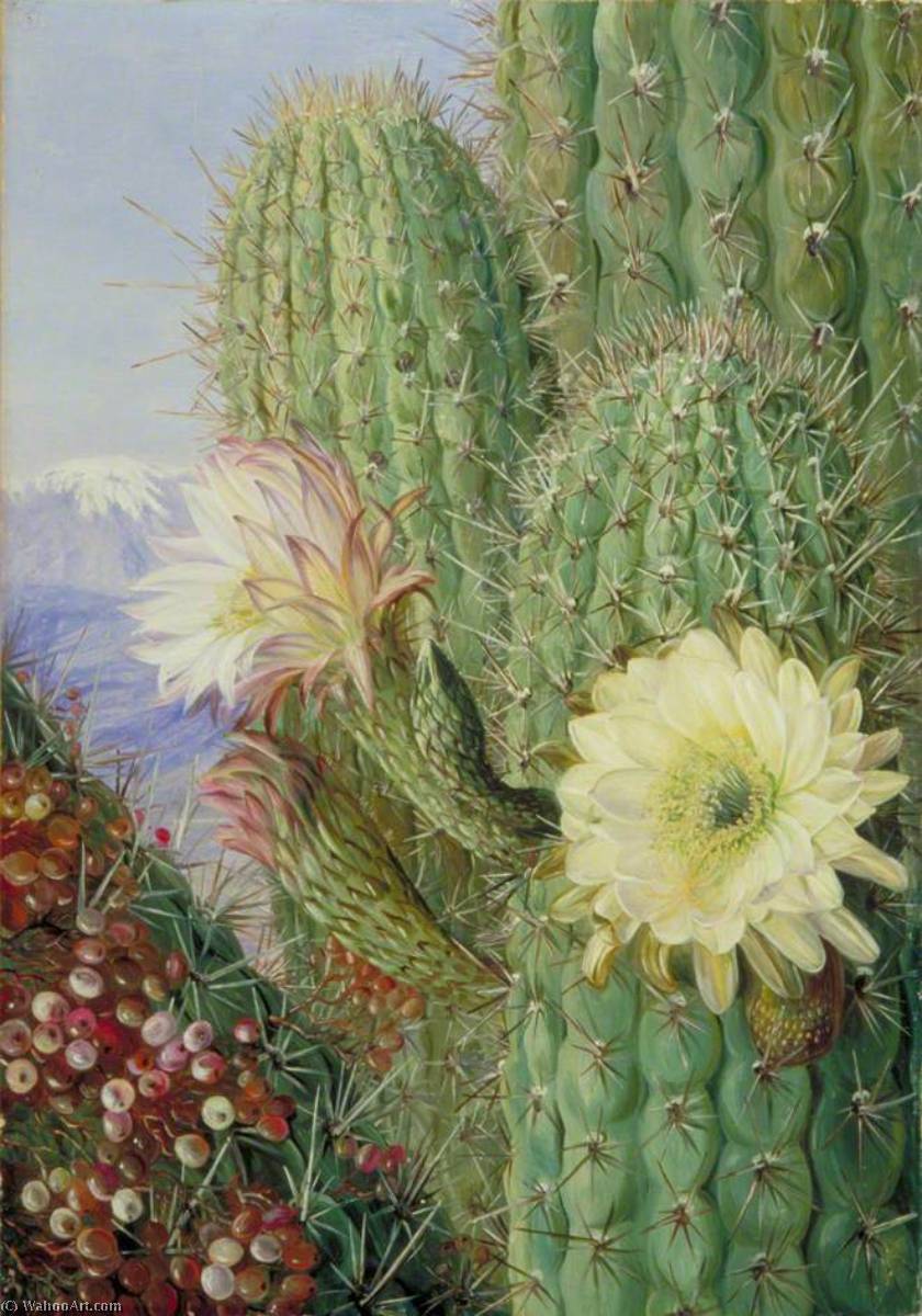 Wikioo.org - The Encyclopedia of Fine Arts - Painting, Artwork by Marianne North - A Chilean Cactus in Flower and Its Leafless Parasite in Fruit