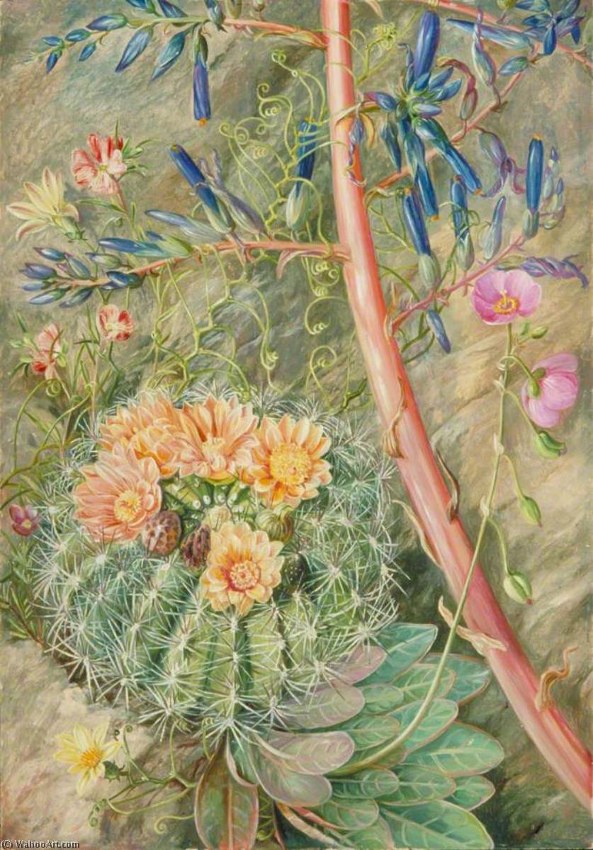 Wikioo.org - สารานุกรมวิจิตรศิลป์ - จิตรกรรม Marianne North - Some Flowers of the Sterile Region of Cauquenas, Chili