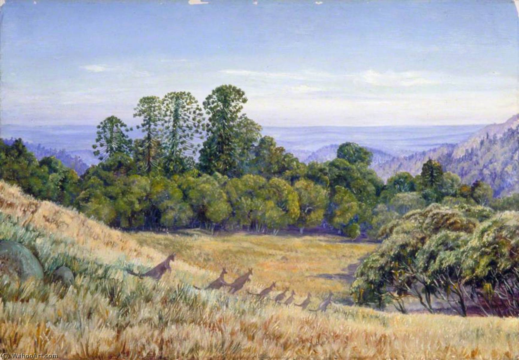 Wikioo.org - The Encyclopedia of Fine Arts - Painting, Artwork by Marianne North - View in the Bunya Bunya Forest, Queensland, and Kangaroos