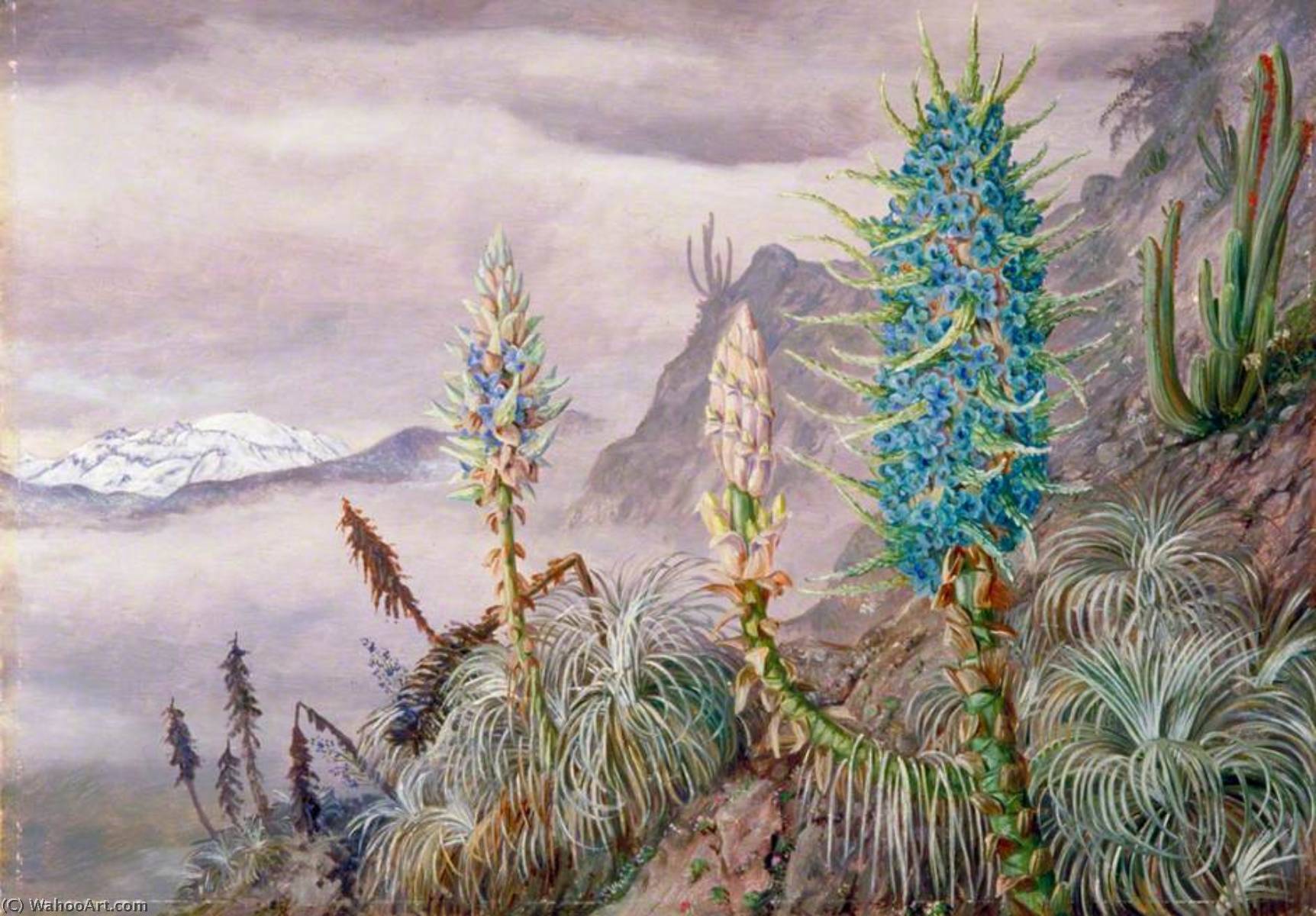 Wikioo.org - The Encyclopedia of Fine Arts - Painting, Artwork by Marianne North - The Blue Puya and Cactus at Home in the Cordilleras, near Apoquindo, Chili