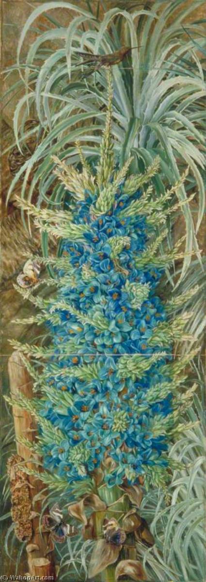 Wikioo.org - Bách khoa toàn thư về mỹ thuật - Vẽ tranh, Tác phẩm nghệ thuật Marianne North - Inflorescence of the Blue Puya and Moths, Chili