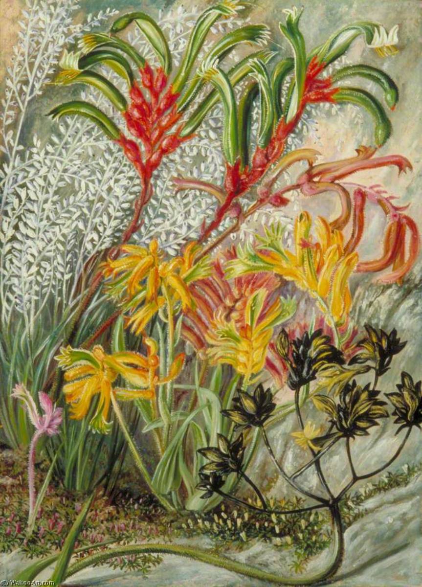 Wikioo.org - The Encyclopedia of Fine Arts - Painting, Artwork by Marianne North - West Australian Flowers