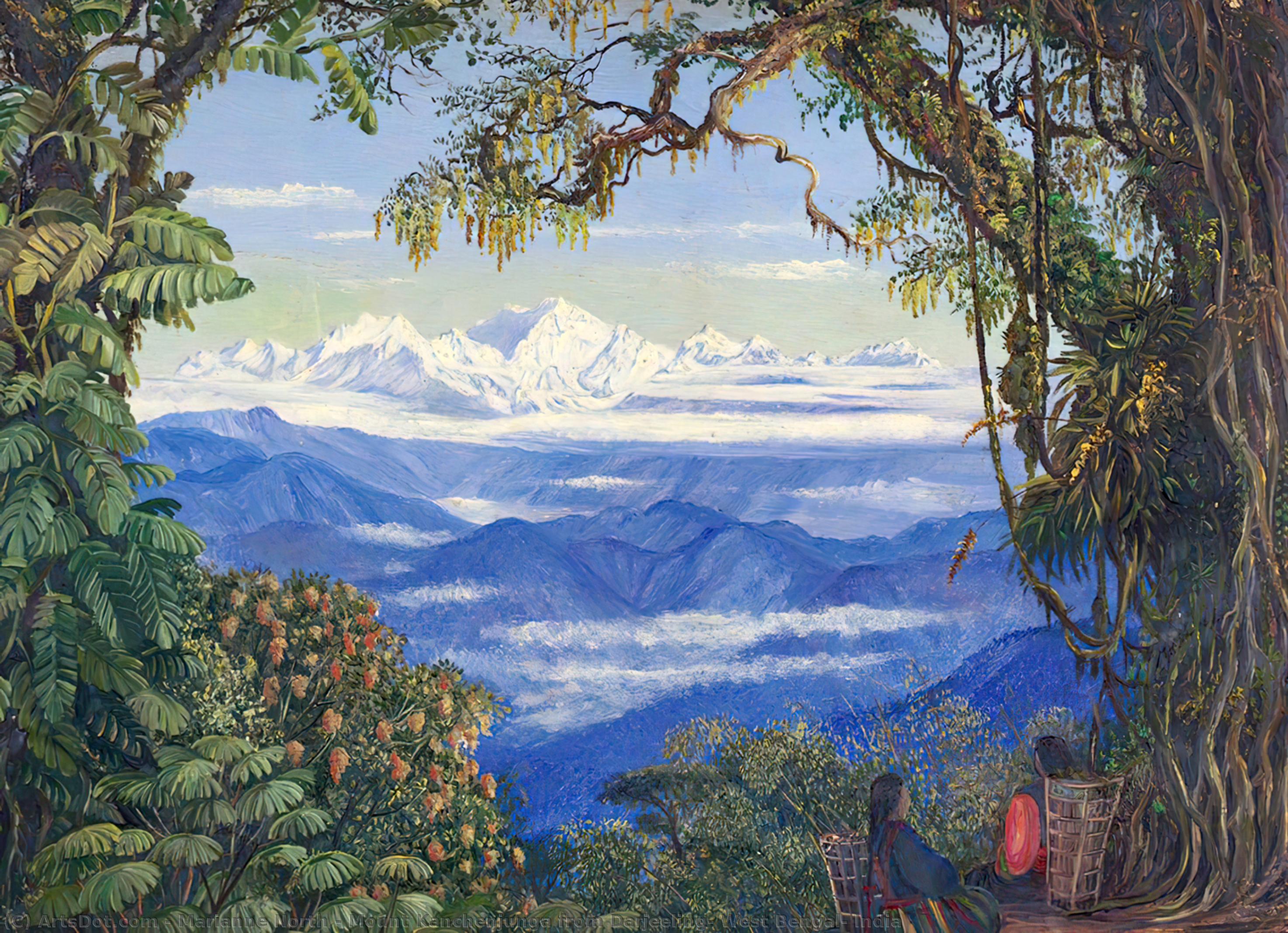 Wikioo.org - The Encyclopedia of Fine Arts - Painting, Artwork by Marianne North - Mount Kanchenjunga from Darjeeling, West Bengal, India