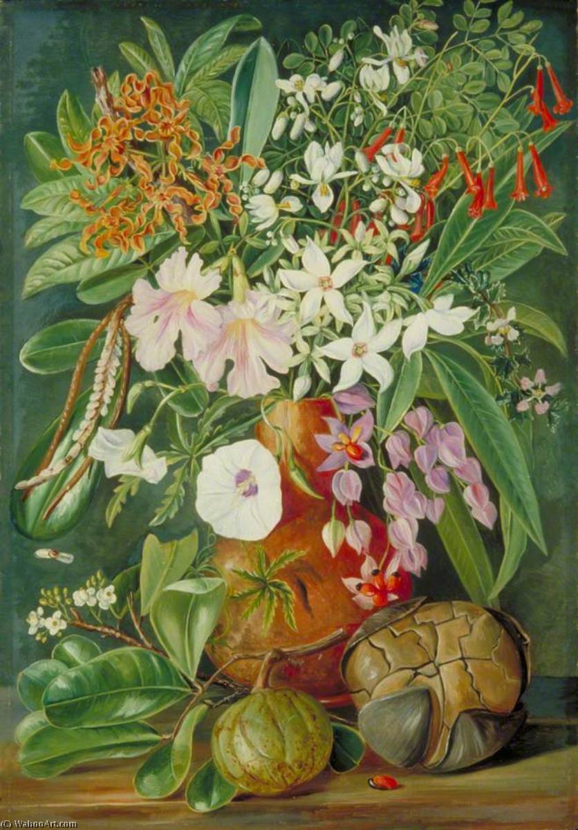 Wikioo.org - The Encyclopedia of Fine Arts - Painting, Artwork by Marianne North - A Selection of Flowers, Wild and Cultivated, with Puzzle Nut, Mahé
