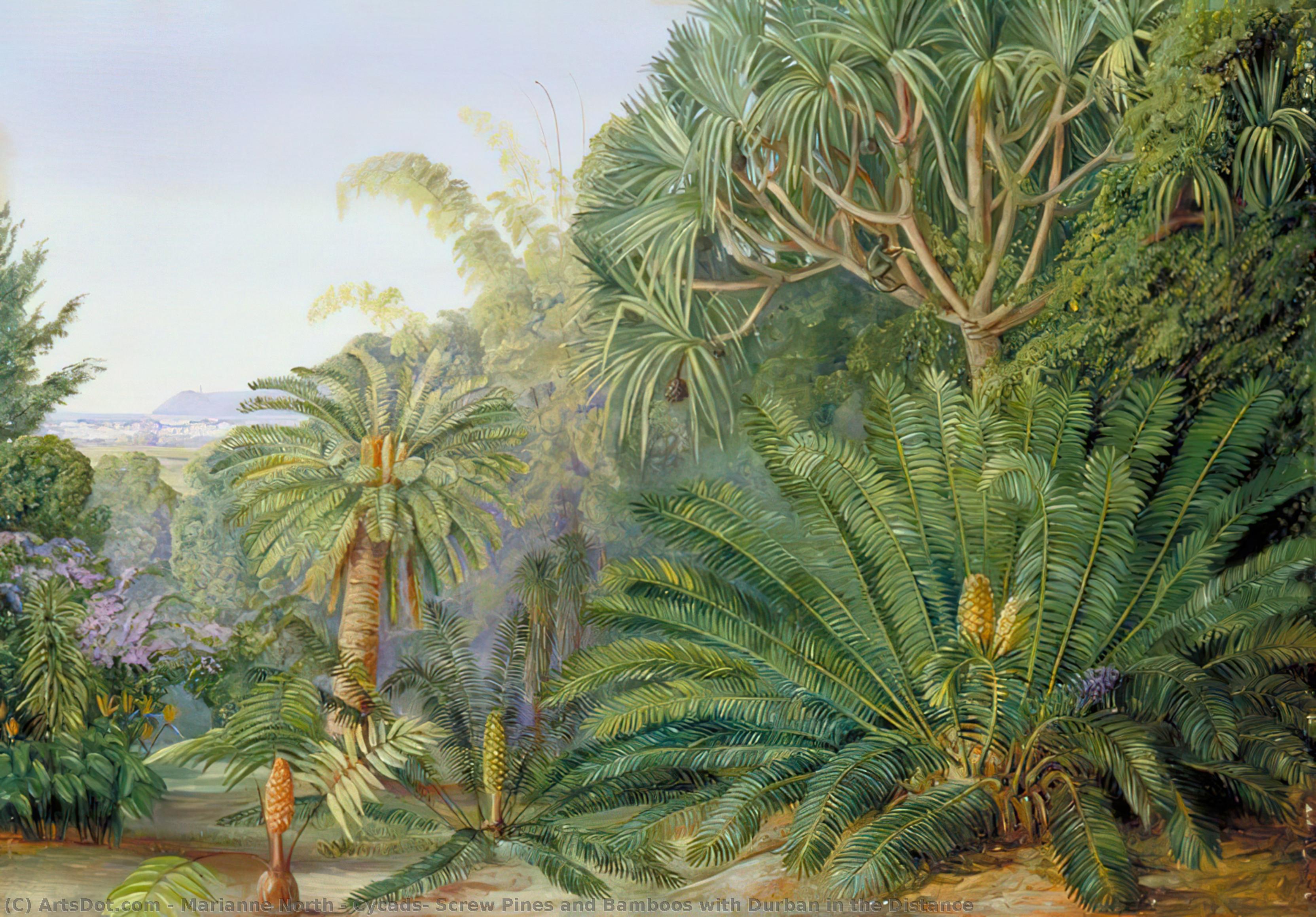 Wikioo.org - The Encyclopedia of Fine Arts - Painting, Artwork by Marianne North - Cycads, Screw Pines and Bamboos with Durban in the Distance