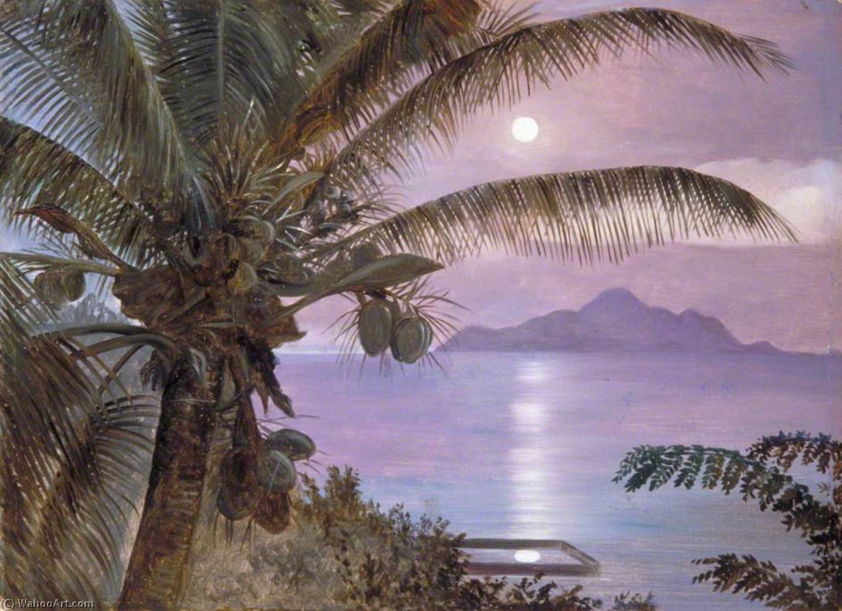 Wikioo.org – L'Encyclopédie des Beaux Arts - Peinture, Oeuvre de Marianne North - lune réfléchie dans  une  tortue marine  flaque  Les seychelles
