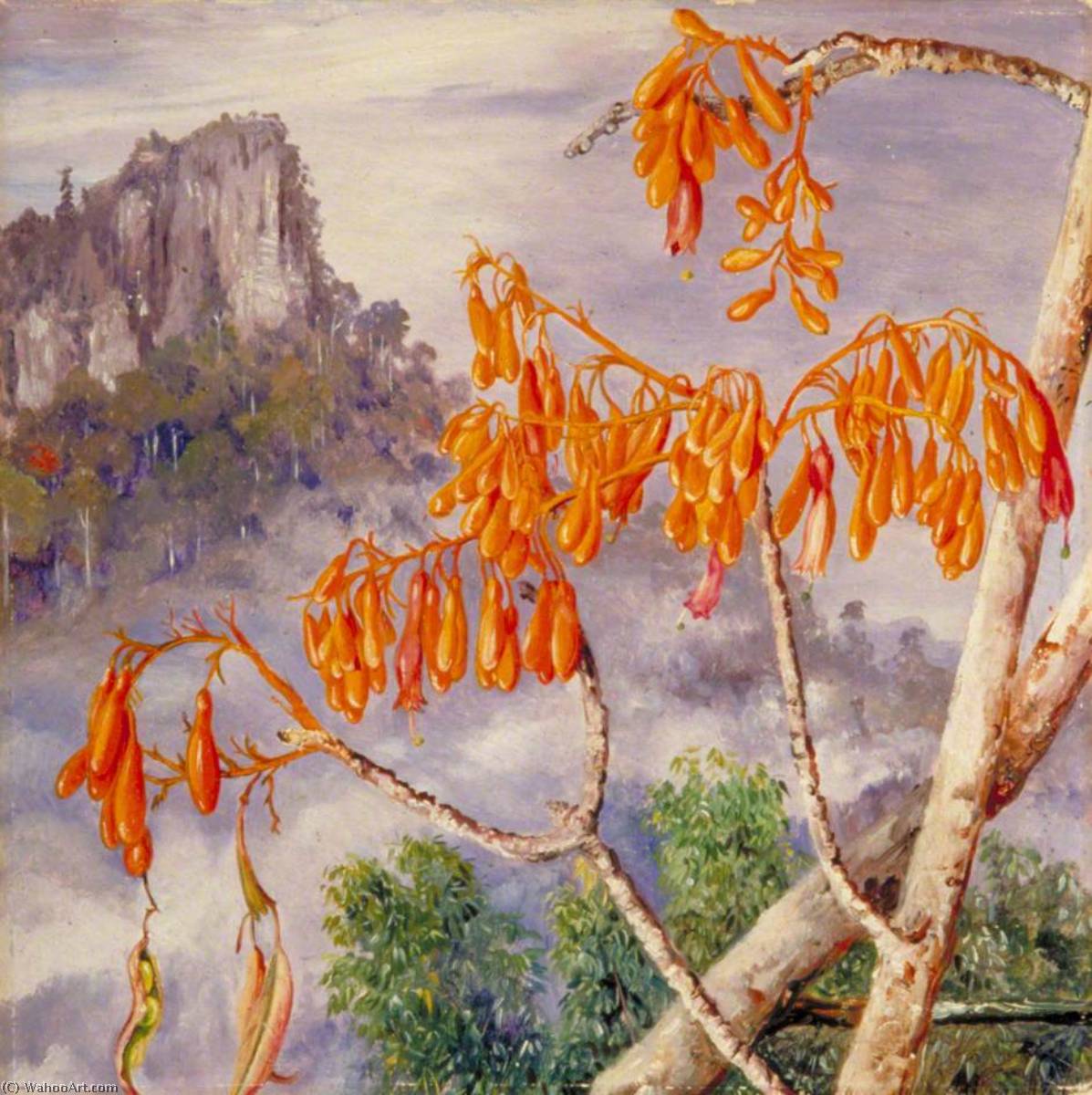 WikiOO.org - Encyclopedia of Fine Arts - Maľba, Artwork Marianne North - Limestone Mountains of Sarawak, Borneo