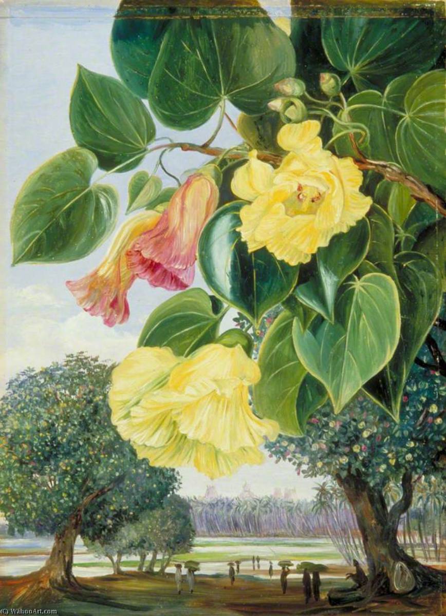 Wikioo.org - The Encyclopedia of Fine Arts - Painting, Artwork by Marianne North - Foliage and Flowers of the Suriya or Portia the Pagodas of Madura in the Distance