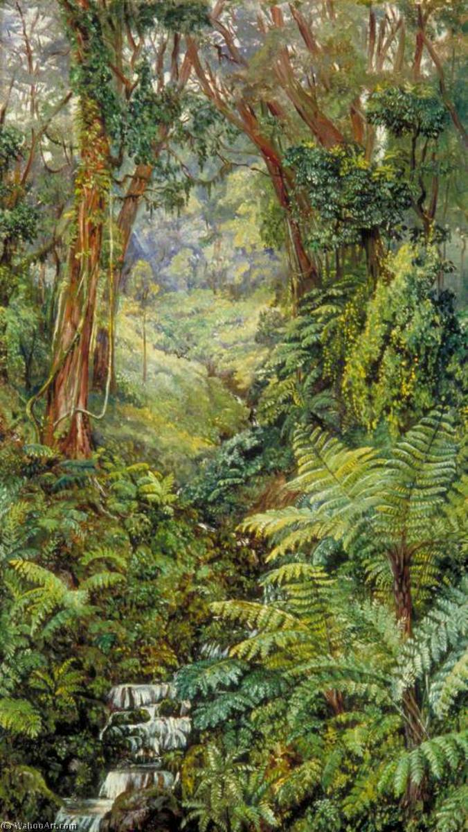 Wikioo.org - The Encyclopedia of Fine Arts - Painting, Artwork by Marianne North - Valley of Ferns near Rungaroon, India