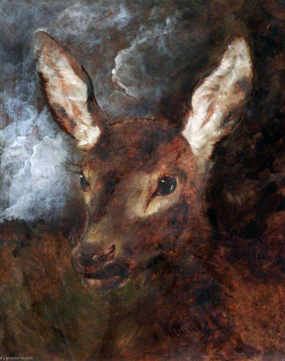 Wikioo.org - The Encyclopedia of Fine Arts - Painting, Artwork by Edwin Henry Landseer - Head of a Hind
