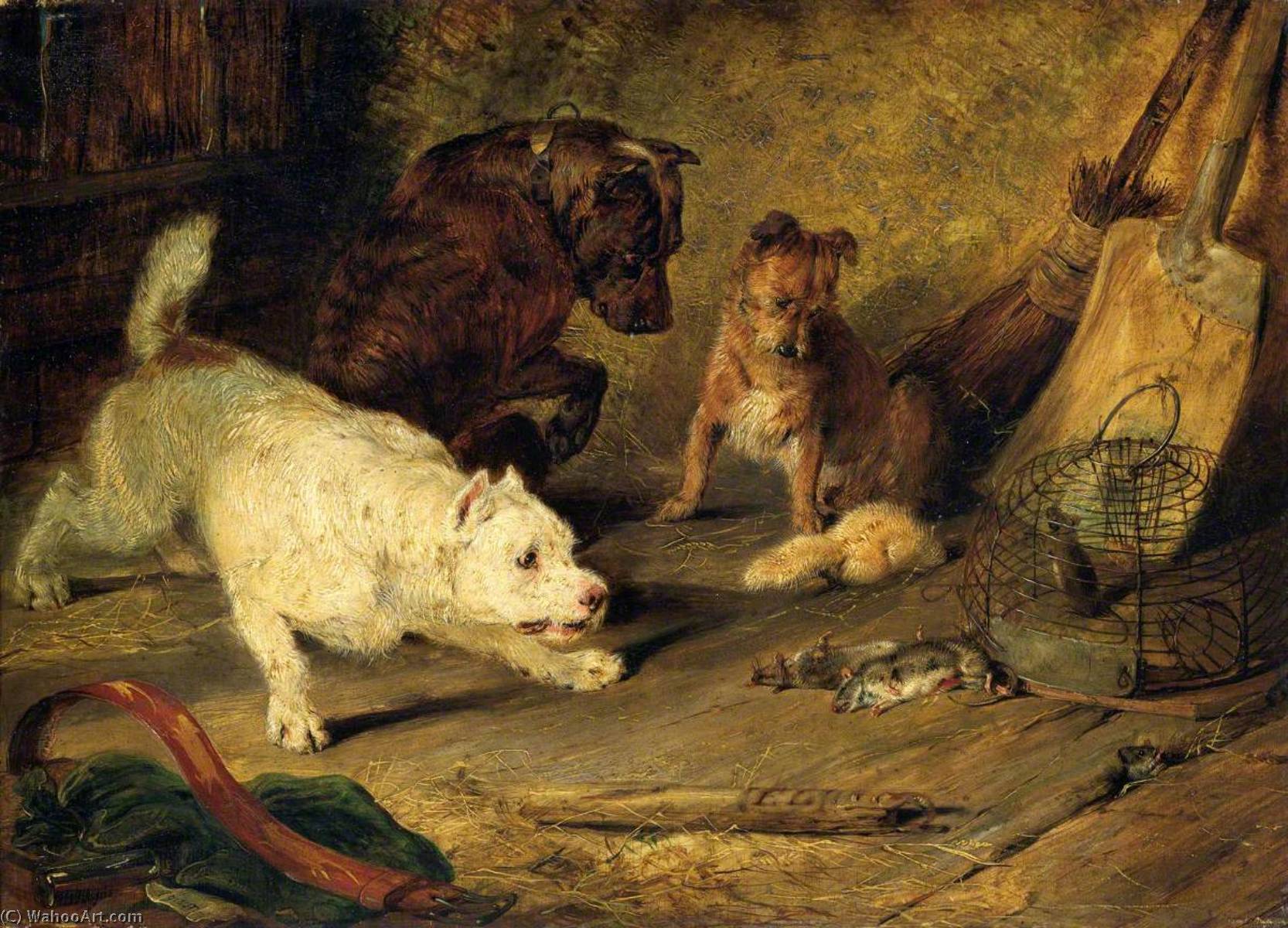 Wikioo.org - The Encyclopedia of Fine Arts - Painting, Artwork by Edwin Henry Landseer - Ratcatchers