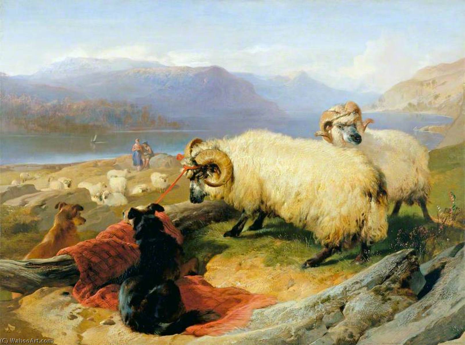 Wikioo.org - The Encyclopedia of Fine Arts - Painting, Artwork by Edwin Henry Landseer - Tethered Rams