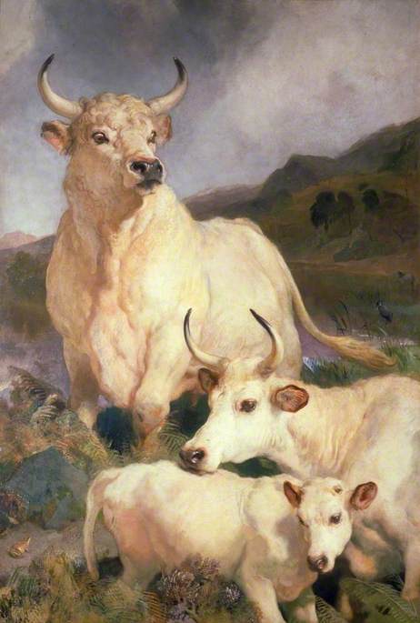 WikiOO.org - Encyclopedia of Fine Arts - Schilderen, Artwork Edwin Henry Landseer - Wild Cattle of Chillingham, Northumberland
