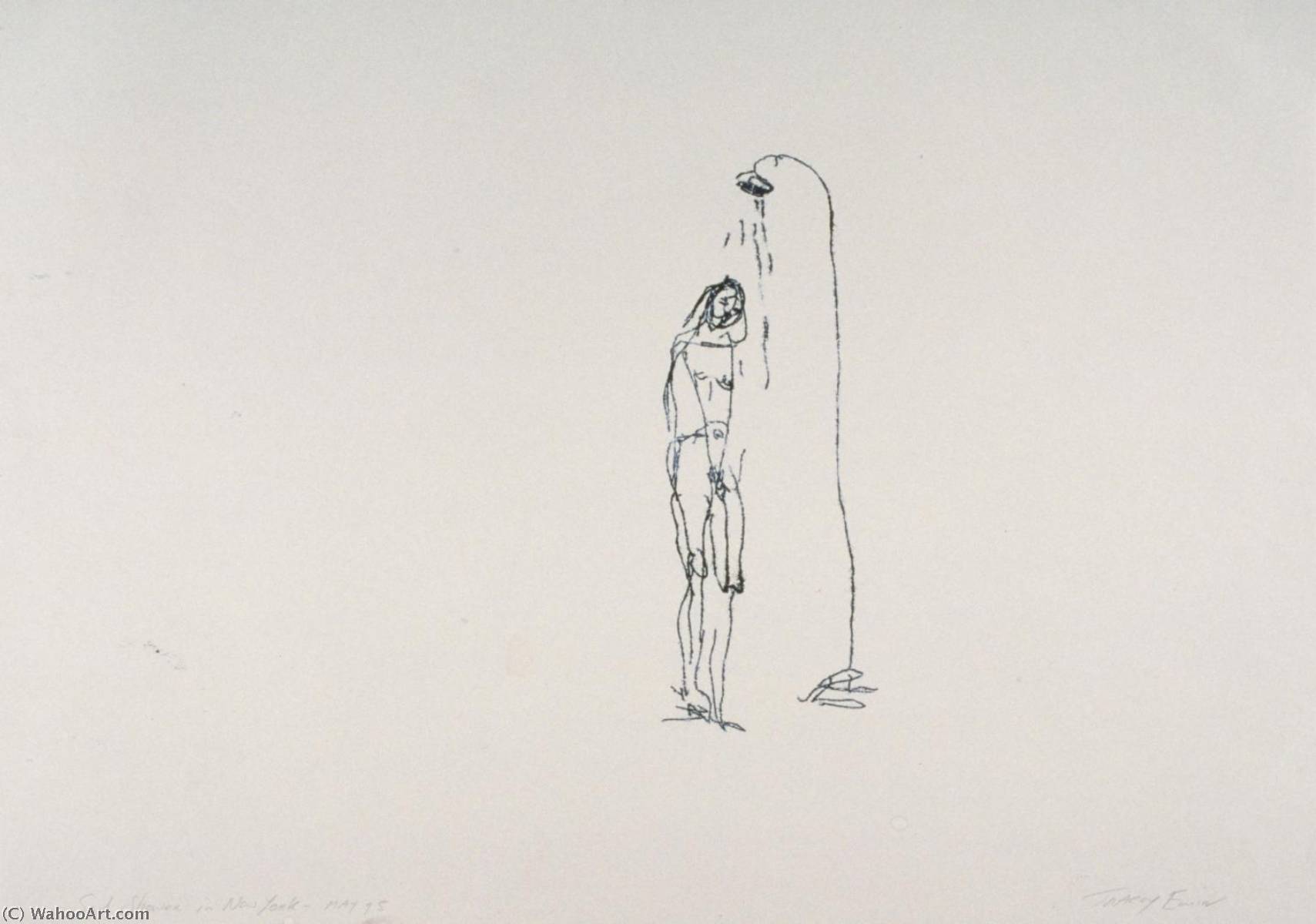 Wikioo.org - The Encyclopedia of Fine Arts - Painting, Artwork by Tracey Emin - Sad Shower in New York