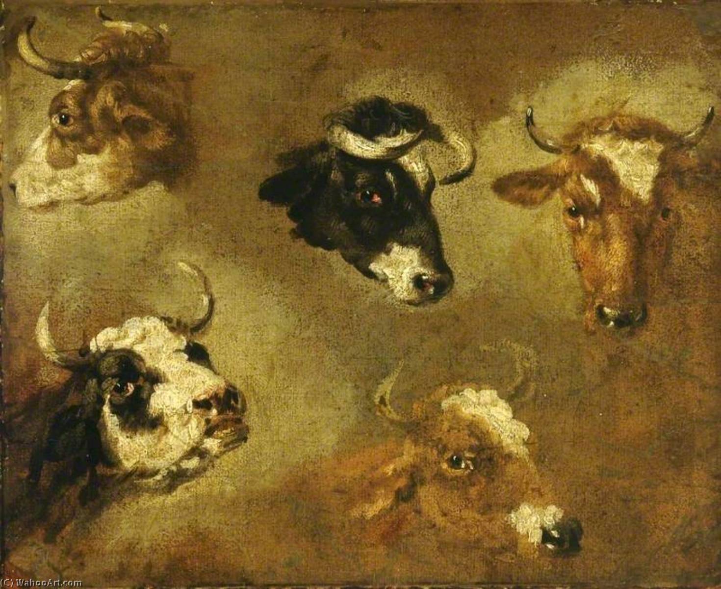 WikiOO.org - Encyclopedia of Fine Arts - Lukisan, Artwork Nicolaes Berchem - Studies of Cows' Heads