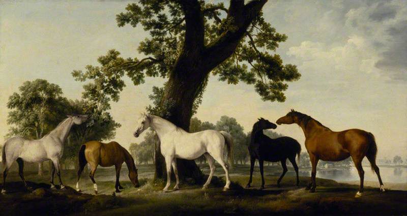 Wikioo.org - The Encyclopedia of Fine Arts - Painting, Artwork by George Stubbs - Five Brood Mares at the Duke of Cumberland's Stud Farm in Windsor Great Park