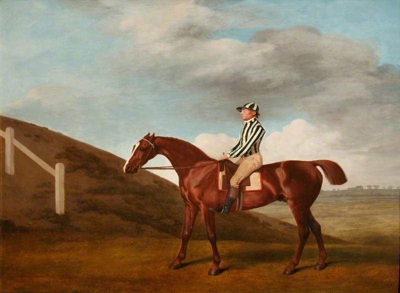 Wikioo.org - The Encyclopedia of Fine Arts - Painting, Artwork by George Stubbs - 'Pumpkin'