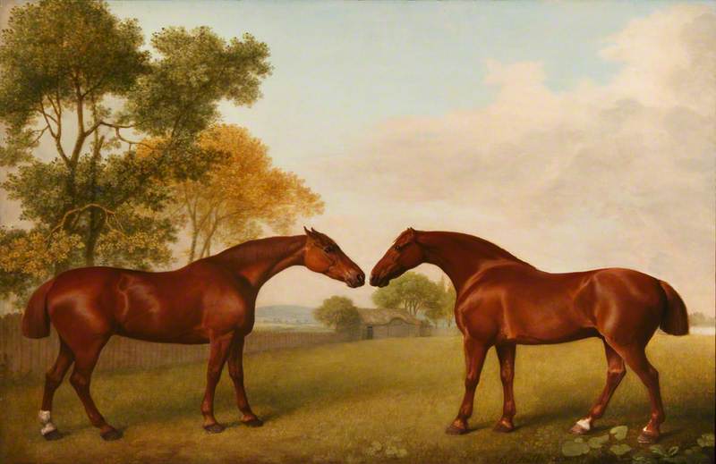 Wikioo.org - The Encyclopedia of Fine Arts - Painting, Artwork by George Stubbs - Two Horses in a Paddock