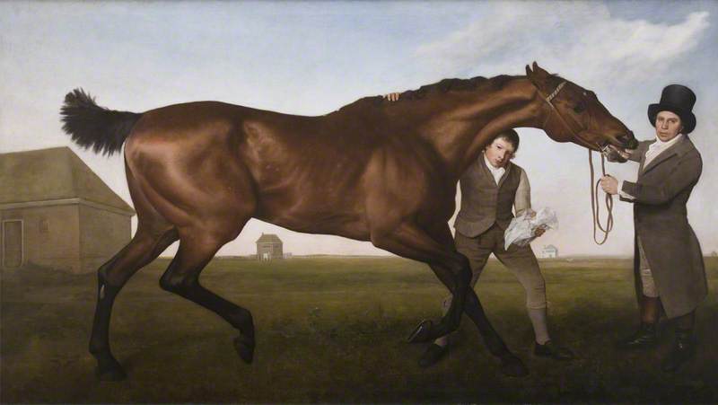 Wikioo.org - The Encyclopedia of Fine Arts - Painting, Artwork by George Stubbs - 'Hambletonian', Rubbing Down
