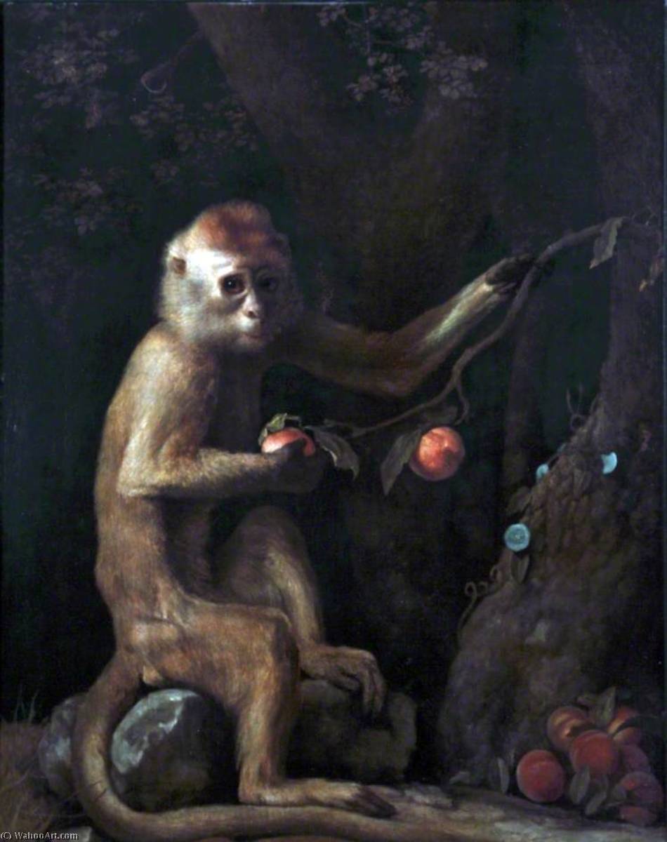 Wikioo.org - The Encyclopedia of Fine Arts - Painting, Artwork by George Stubbs - A Monkey