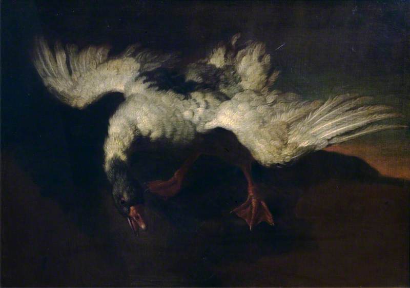 Wikioo.org - The Encyclopedia of Fine Arts - Painting, Artwork by George Stubbs - Goose with Outspread Wings