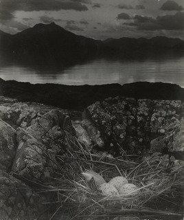 Wikioo.org - The Encyclopedia of Fine Arts - Painting, Artwork by Bill Brandt - Gull's Nest, Late on Midsummer Night, Isle of Skye