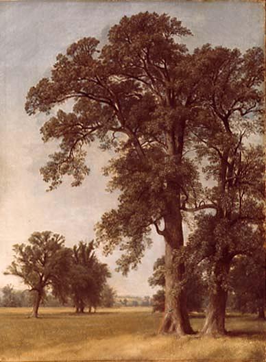 Wikioo.org - The Encyclopedia of Fine Arts - Painting, Artwork by Asher Brown Durand - Oaks of Geneseo, (painting)