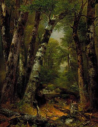 Wikioo.org - The Encyclopedia of Fine Arts - Painting, Artwork by Asher Brown Durand - Woodland Glen, (painting)