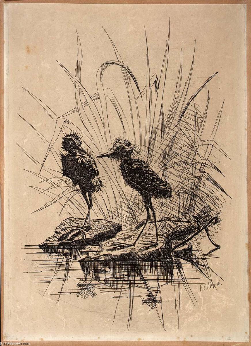 WikiOO.org - Encyclopedia of Fine Arts - Maalaus, taideteos Frederick Stuart Church - Two Birds