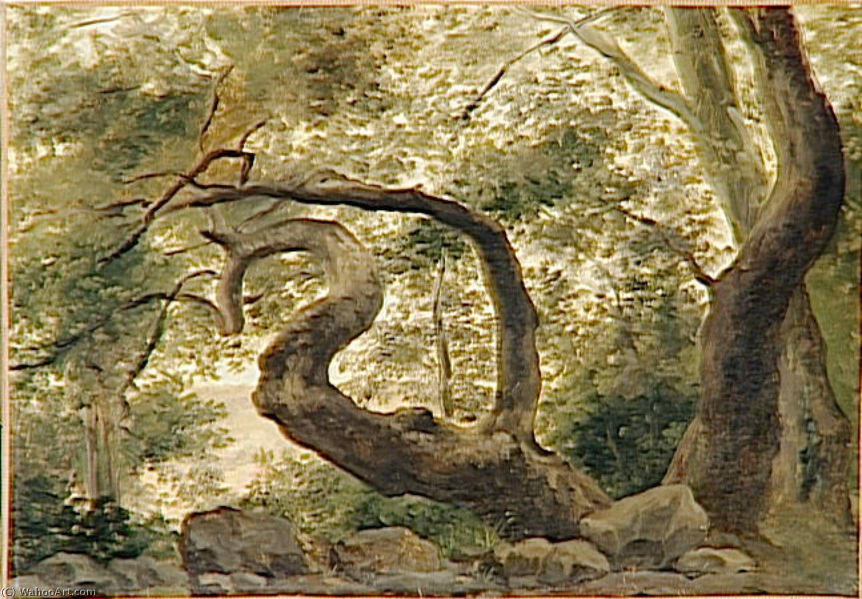 Wikioo.org – L'Encyclopédie des Beaux Arts - Peinture, Oeuvre de Pierre De Valenciennes - SOUS BOIS , ARBRES AUX LES BRANCHES TORTUEUSES