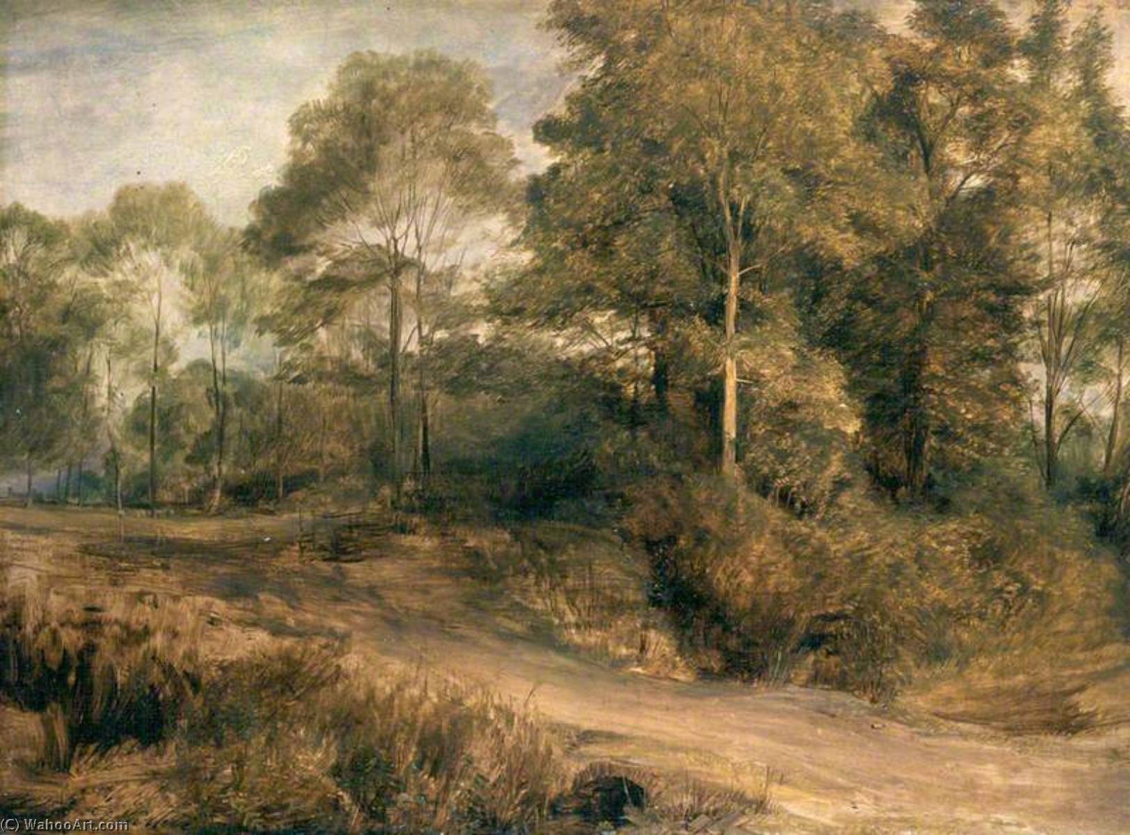 Wikioo.org - The Encyclopedia of Fine Arts - Painting, Artwork by David Wilkie Wynfield - A Wooded Landscape