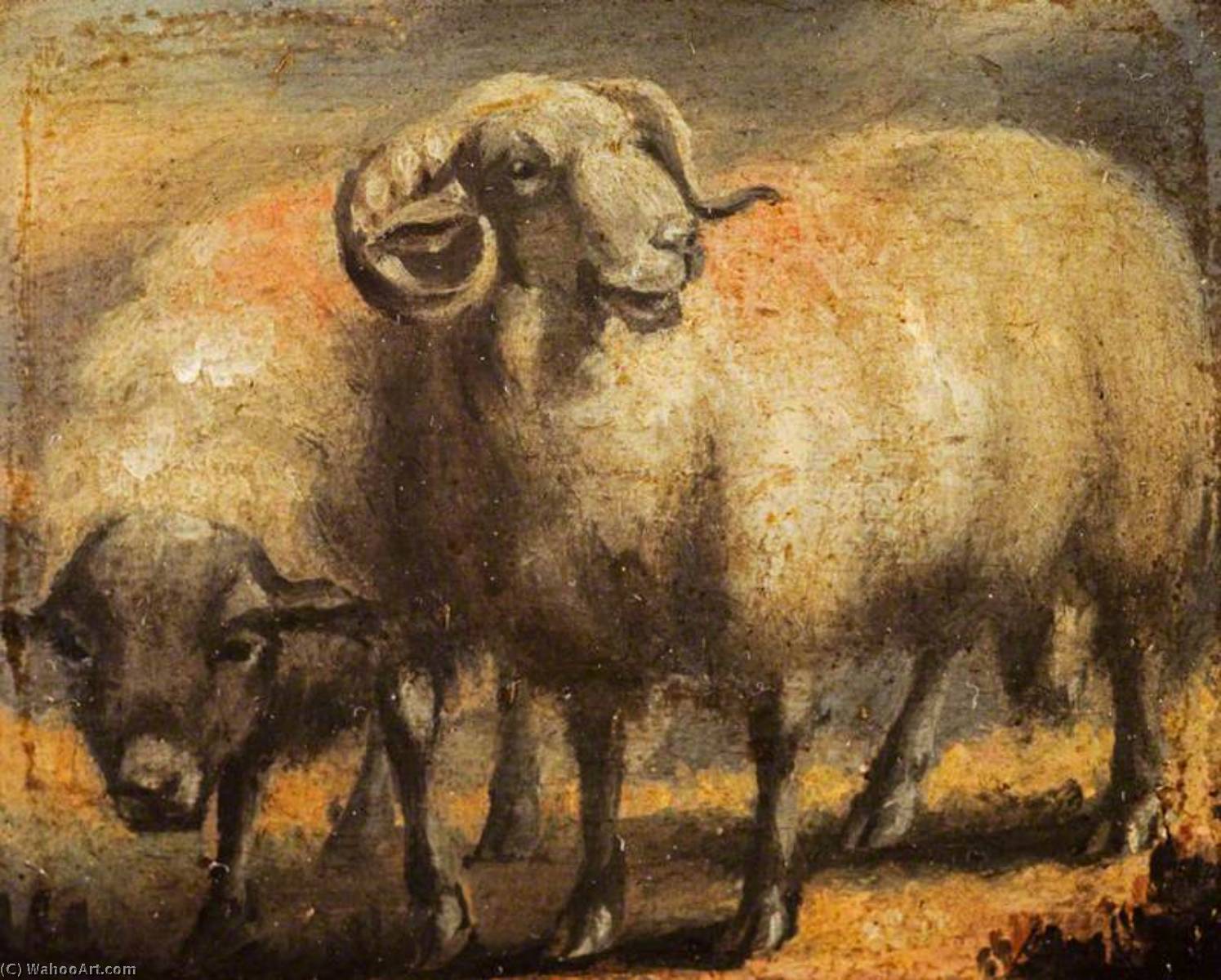 Wikioo.org - สารานุกรมวิจิตรศิลป์ - จิตรกรรม David Wilkie Wynfield - Sheep