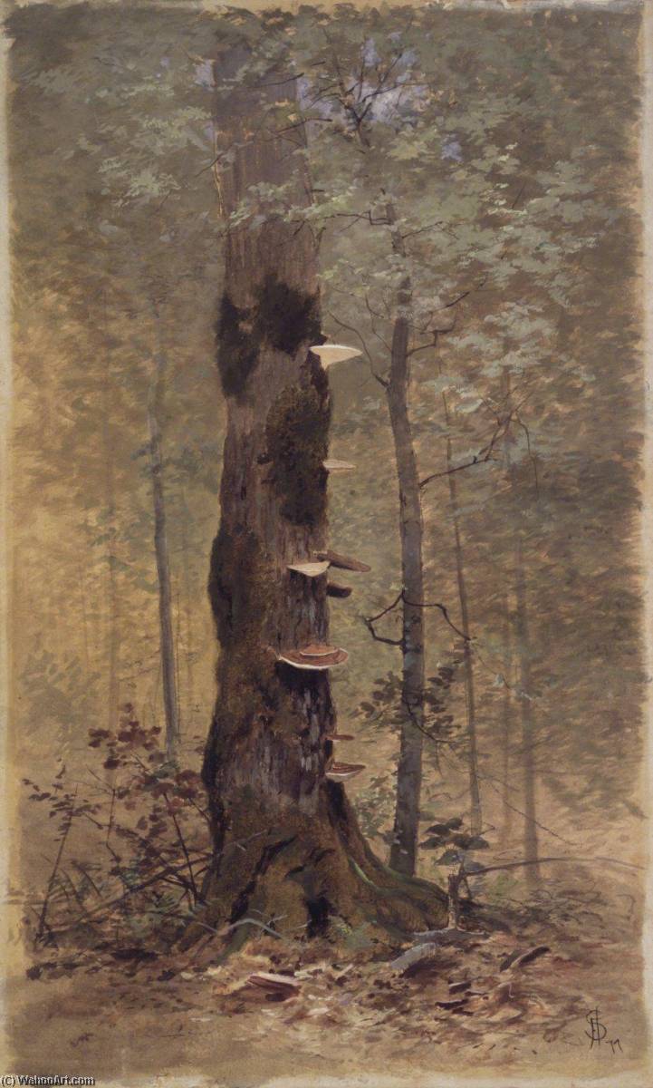 Wikioo.org - The Encyclopedia of Fine Arts - Painting, Artwork by Francis Hopkinson Smith - In the Woods